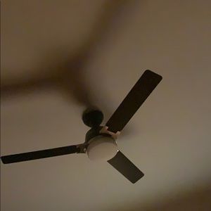 Meet your Posher, Bradley